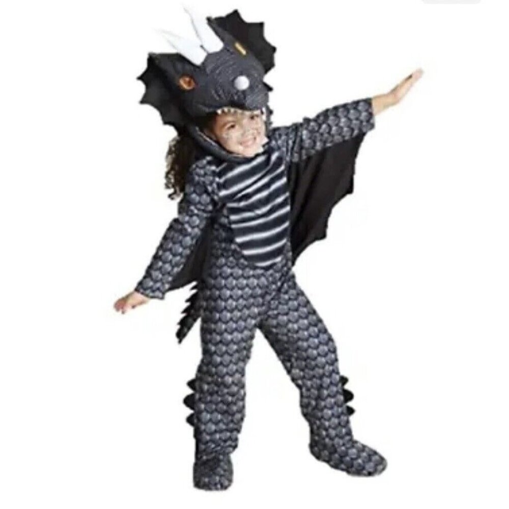 Dragon Halloween Costume Toddler Size 4T-5T Seasons USA
